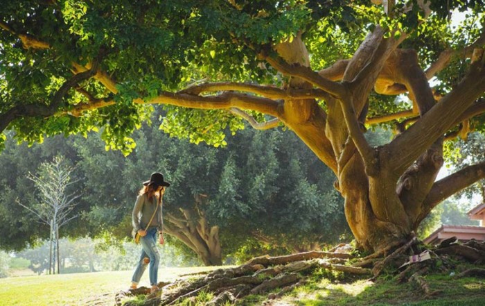 Mädchen spaziert unter einem uralten ausladenden Baum